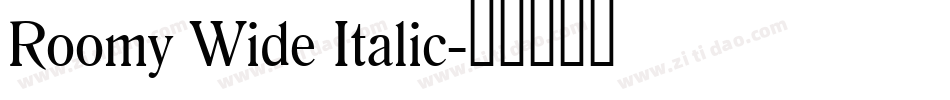 Roomy Wide Italic字体转换